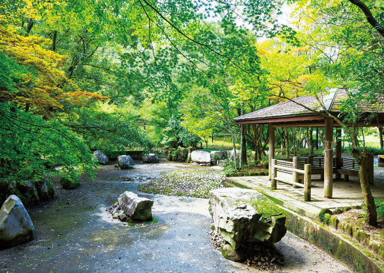 天拝山歴史自然公園