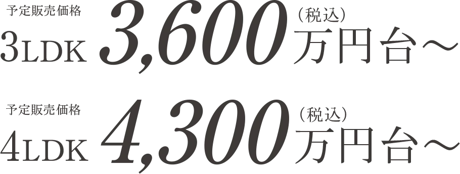 予定販売価格