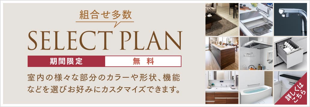 SELECT PLAN