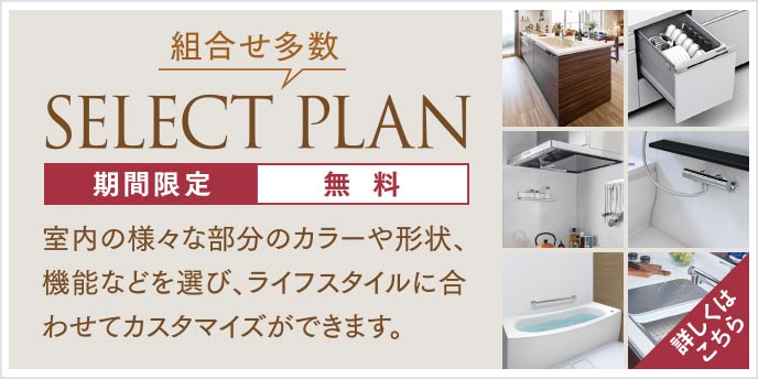 SELECT PLAN