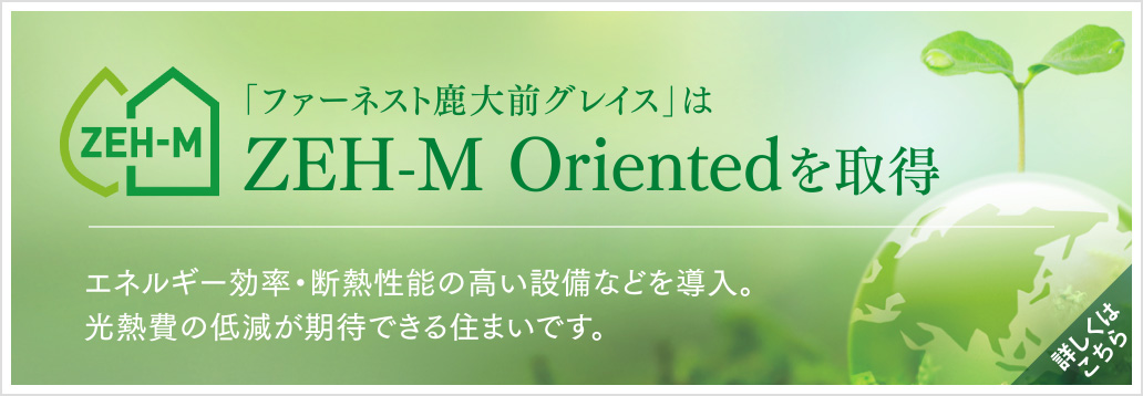 ZEH-M Orientedを取得