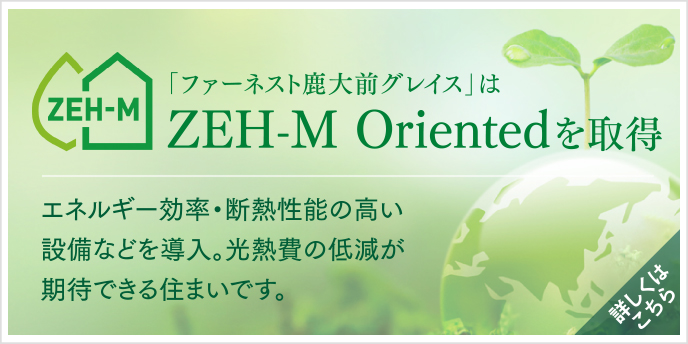 ZEH-M Orientedを取得