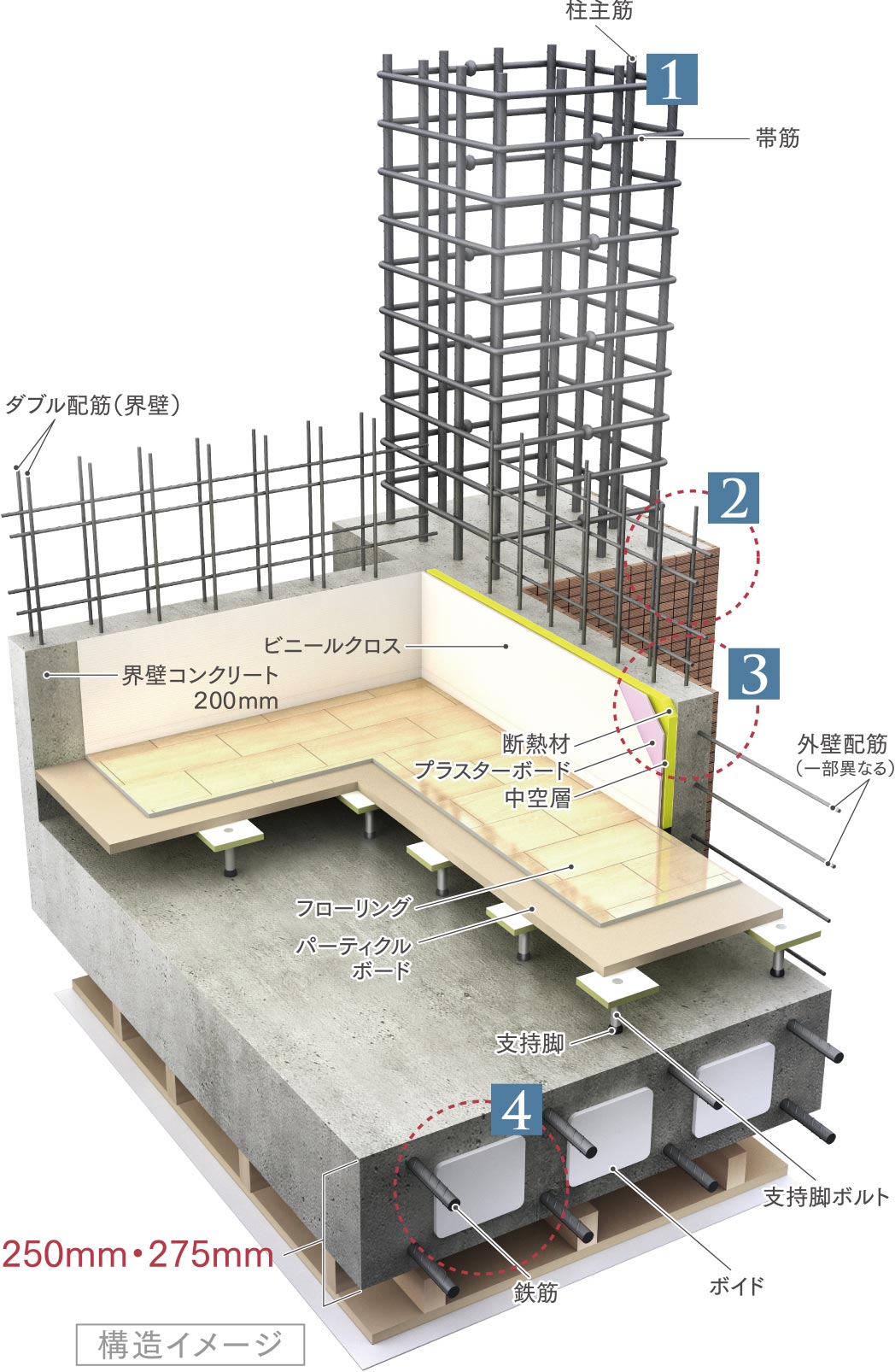 構造イメージ