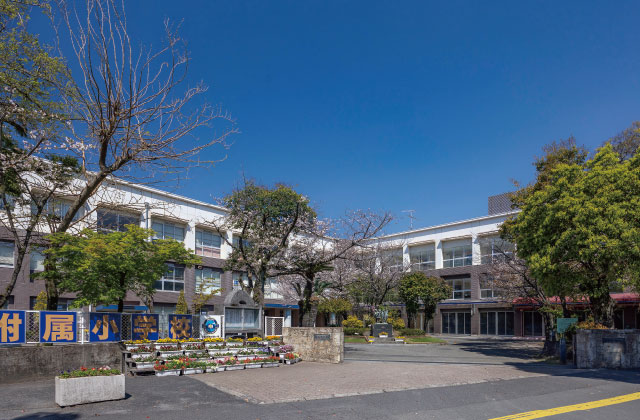 鹿児島大学教育学部附属小学校