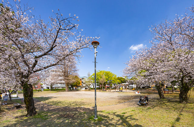 中村公園