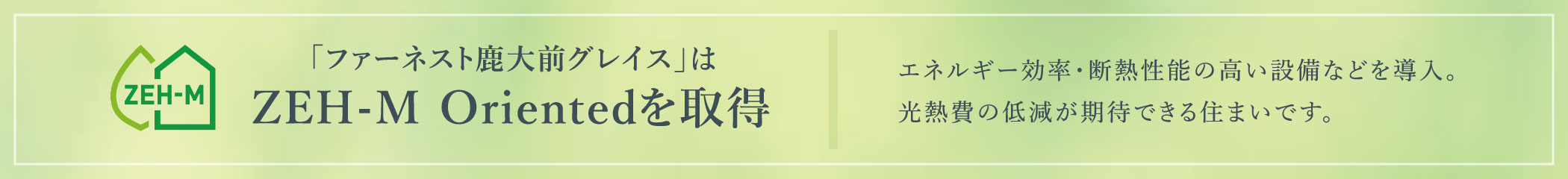ZEH-M Orientedを取得(予定)