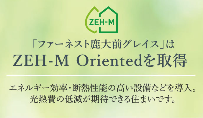 ZEH-M Orientedを取得(予定)