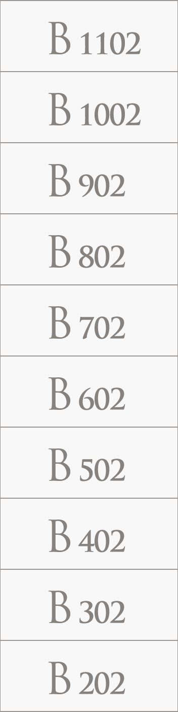 B type