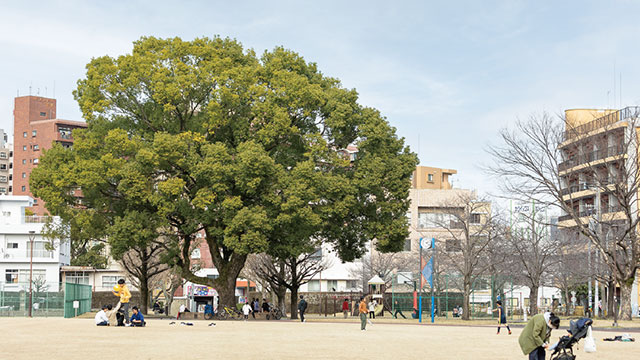 共研公園