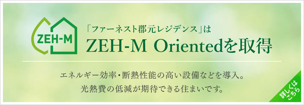 ZEH-M Oriented