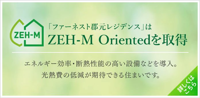 ZEH-M Oriented