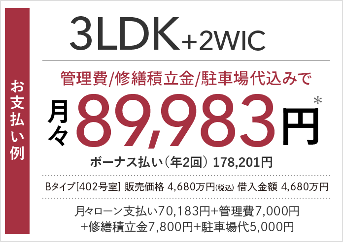 Bタイプ支払い例