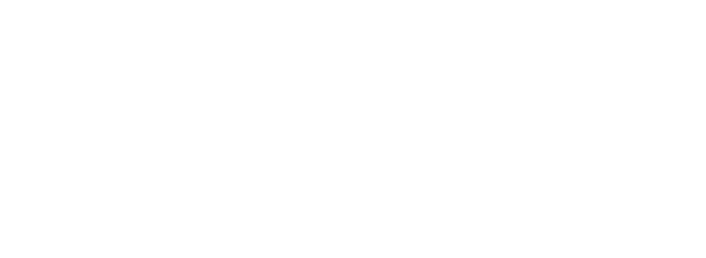 VISION