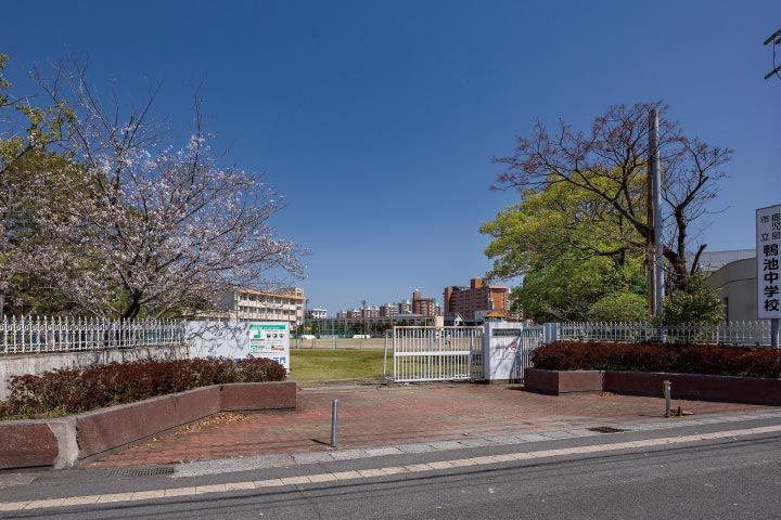 鴨池中学校