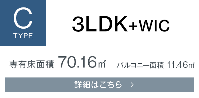Ctype