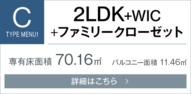 Ctypeメニュープラン1