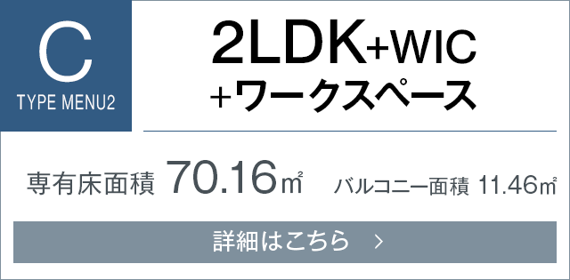 Ctypeメニュープラン2