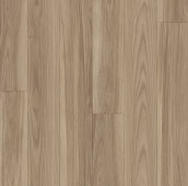 グレーアッシュ