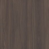 スモーキーエルム