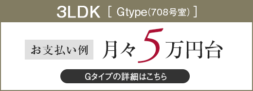 Gタイプ／3LDK／月々5万円台