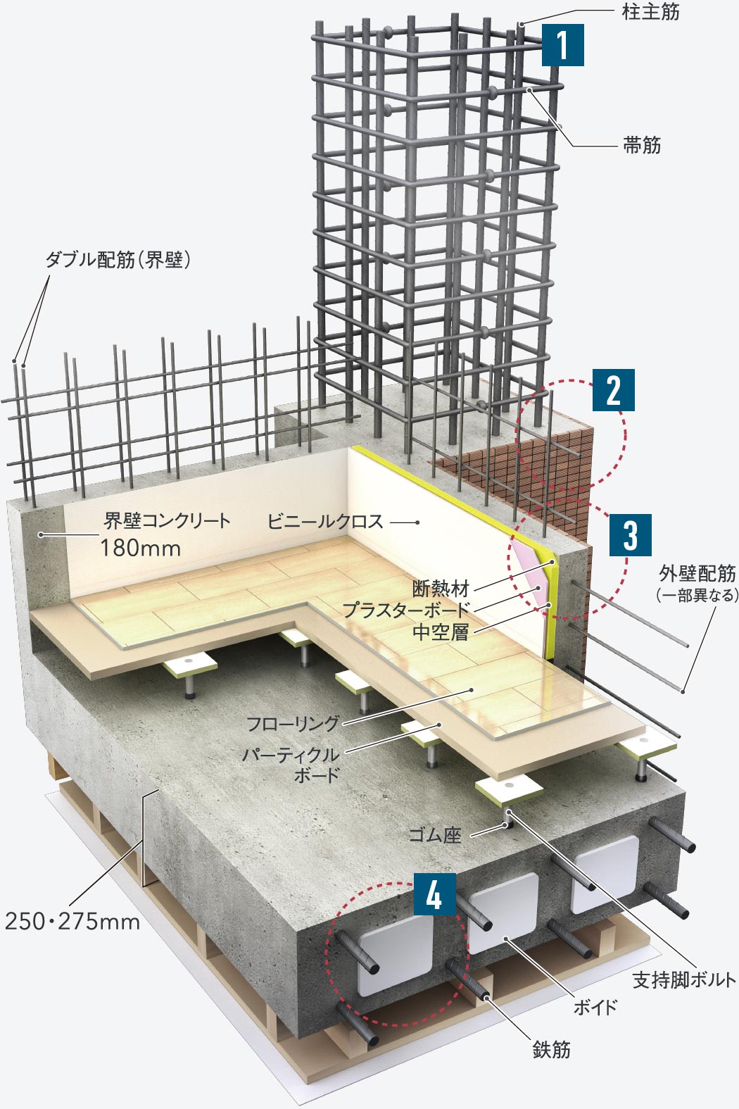 構造イメージ