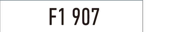 F1 type