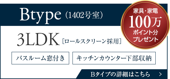 Bタイプモデルルーム販売