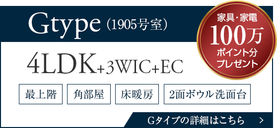 Gタイプモデルルーム販売
