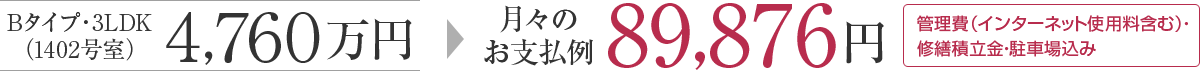 月々のお支払い例