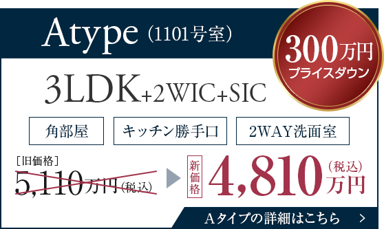 Aタイプ価格改定