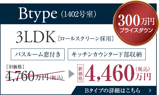 Bタイプ価格改定