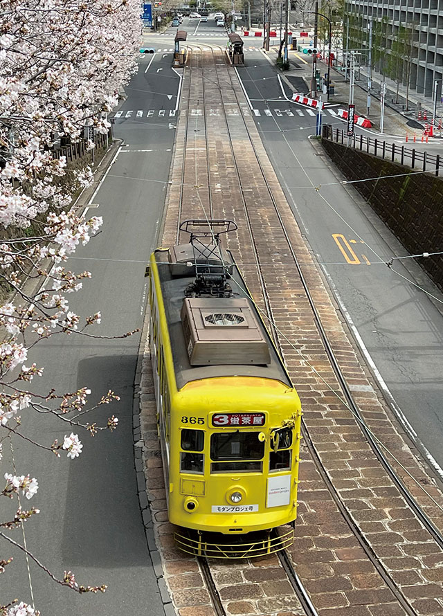 ファーネスト桜町通りタワー生活環境image