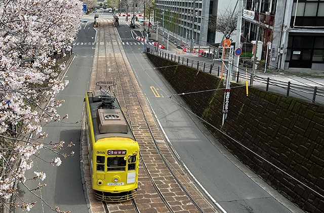 ファーネスト桜町通りタワー生活環境image