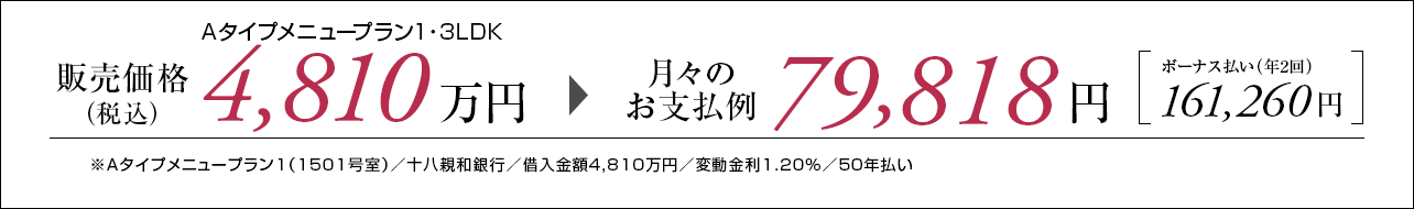 Aタイプ支払い例