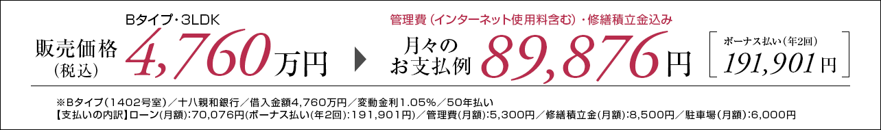 Bタイプ支払い例