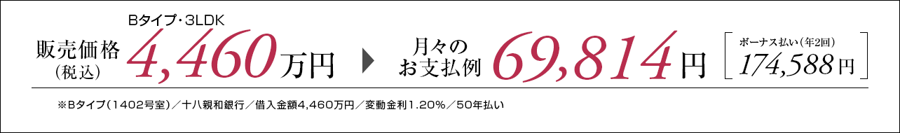 Bタイプ支払い例