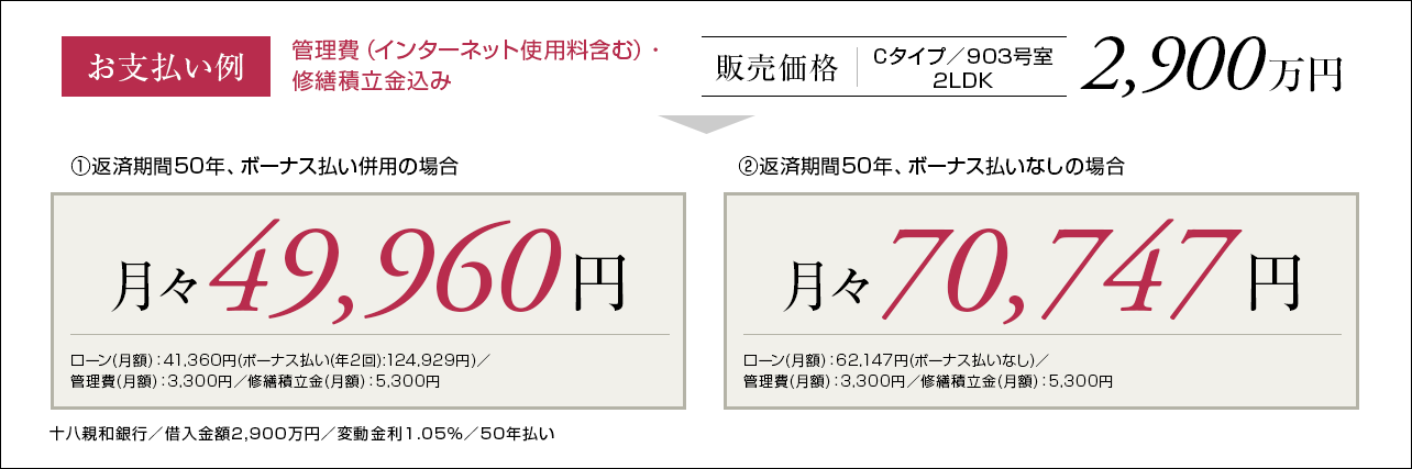 Cタイプ支払い例