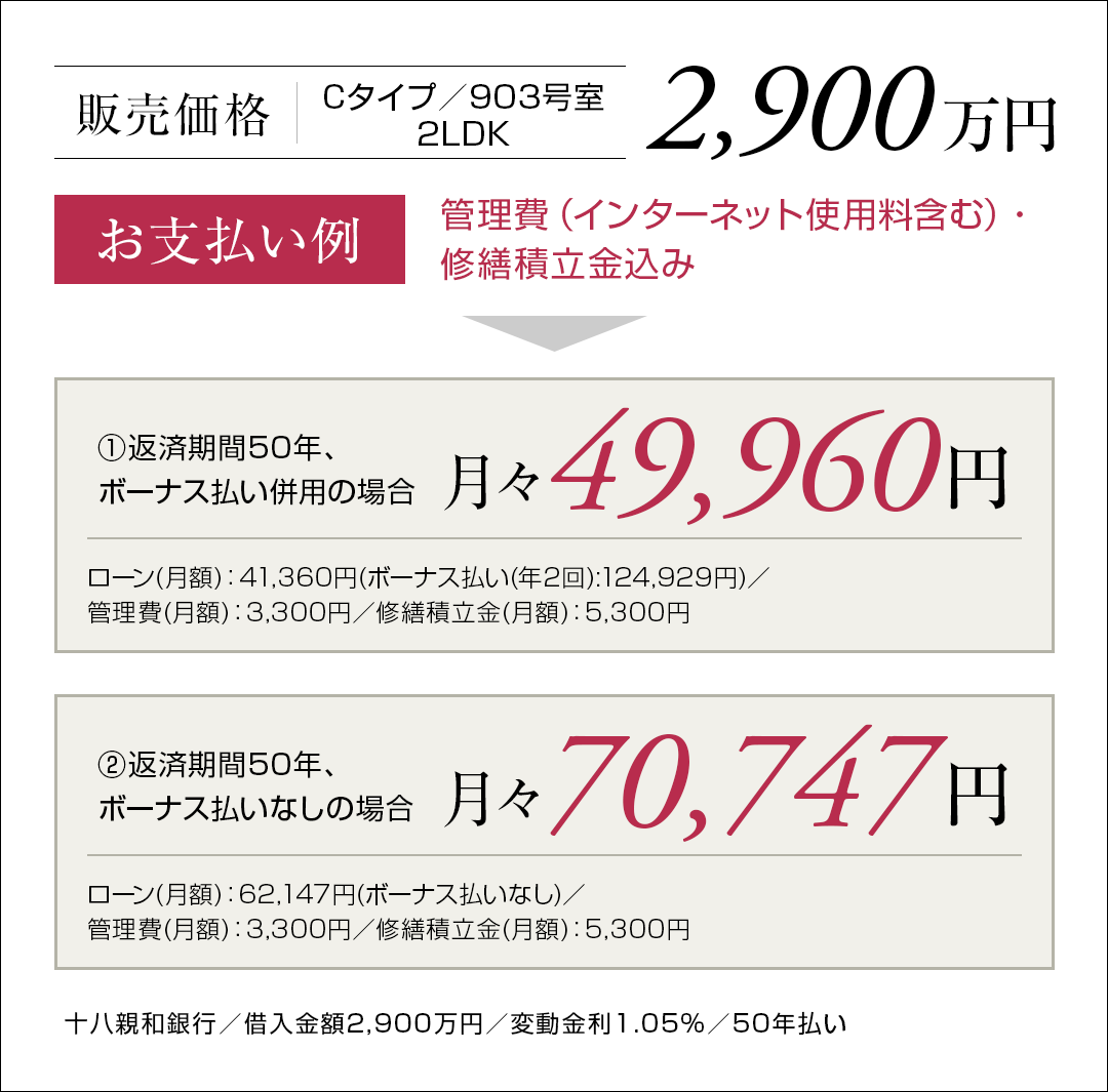Cタイプ支払い例