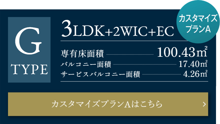 GタイプカスタマイズプランA