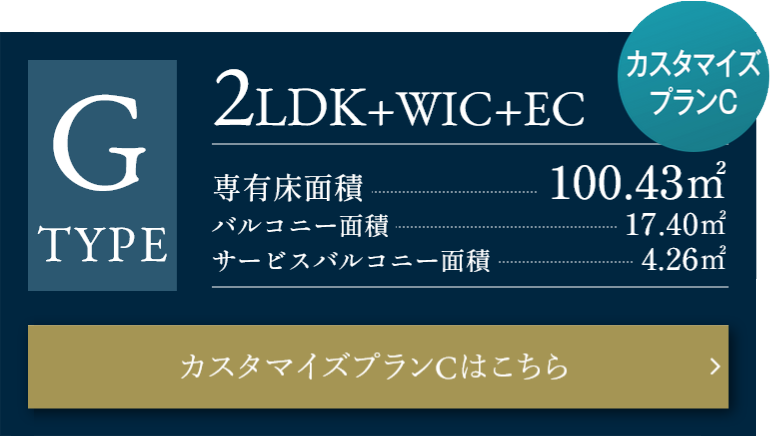 GタイプカスタマイズプランC