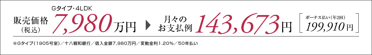 Gタイプ支払い例