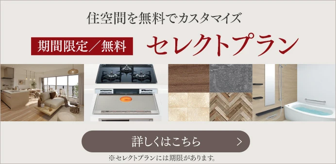期間限定/無料 セレクトプラン
