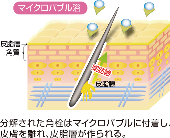マイクロバブル浴image