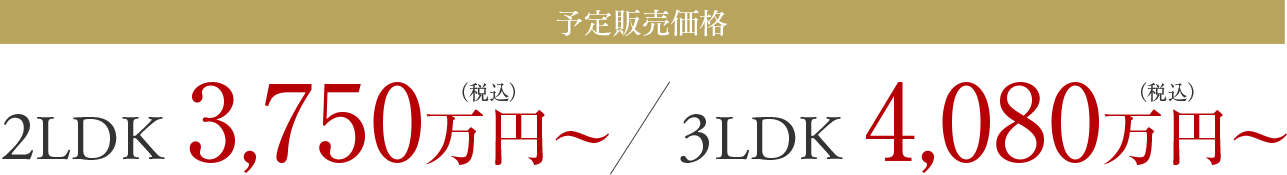 予定販売価格