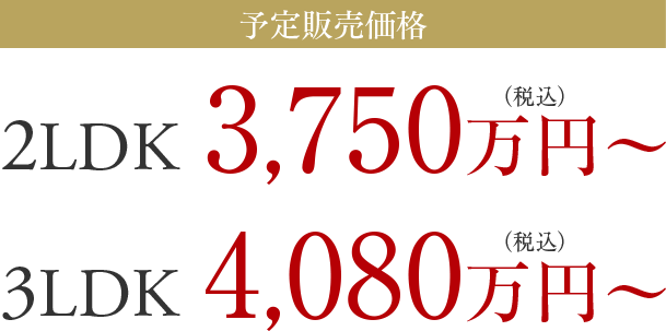 予定販売価格