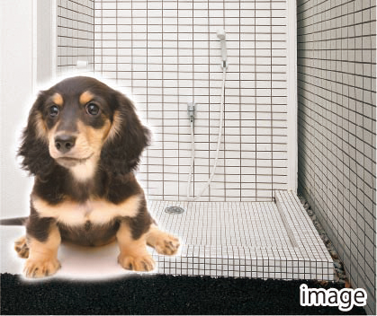 共用部ペット足洗い場