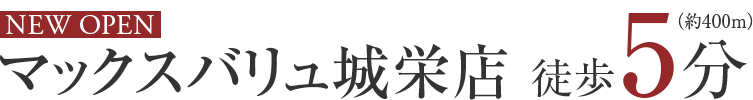 マックスバリュ城栄店徒歩５分