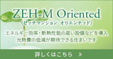 ZEH-M Oriented