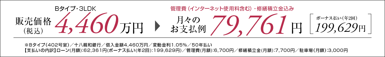 Bタイプ支払い例