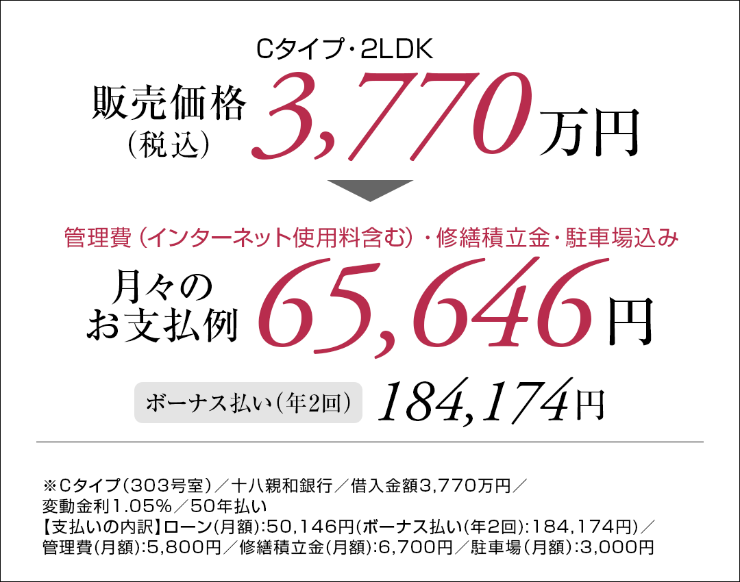 Cタイプ支払い例